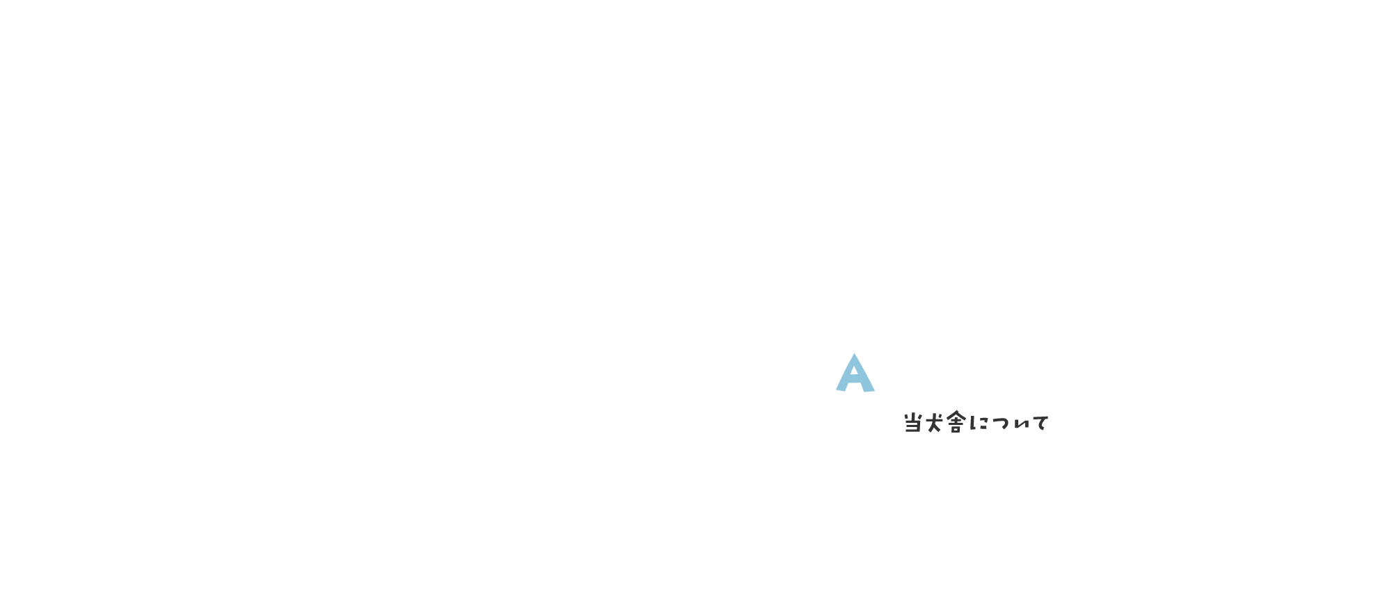 カニンヘンダックスの男の子